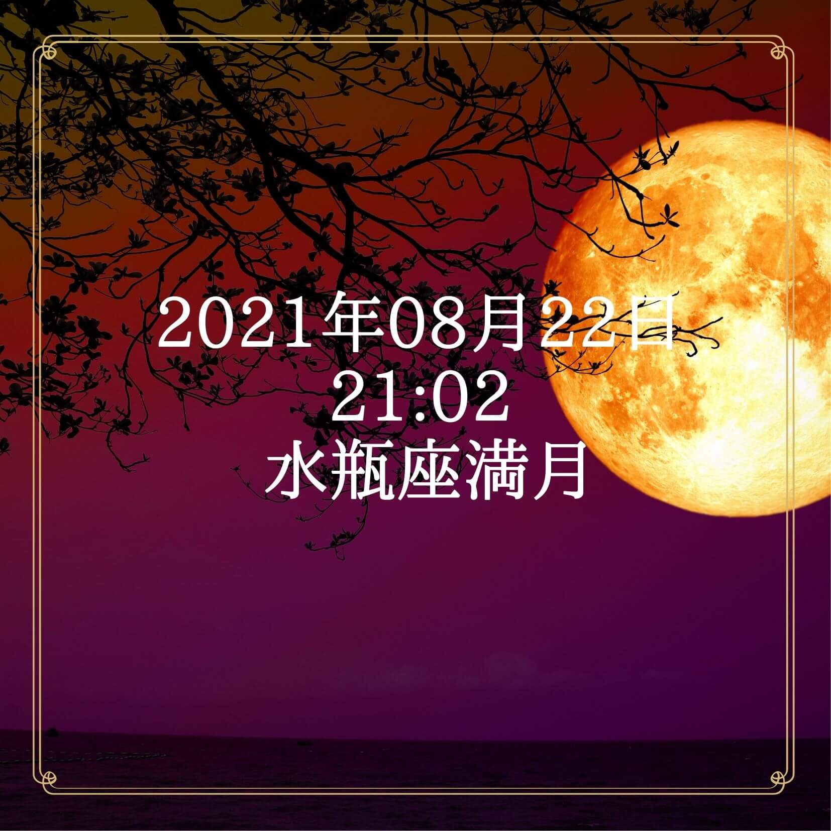 水瓶座満月